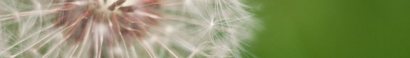 ynr photography banner for Yann Riche's professional website