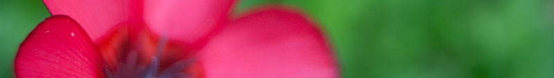 ynr photography banner for Yann Riche's professional website