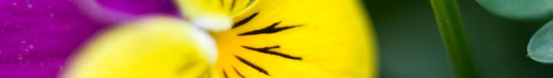 ynr photography banner for Yann Riche's professional website